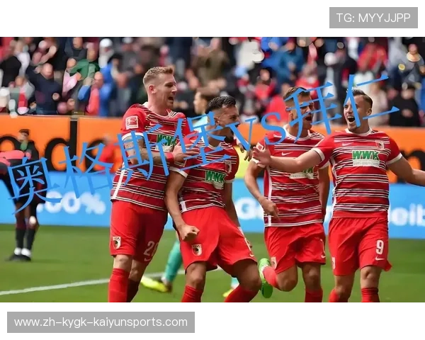 德甲有哪些球队在制度或身份上较为特殊？