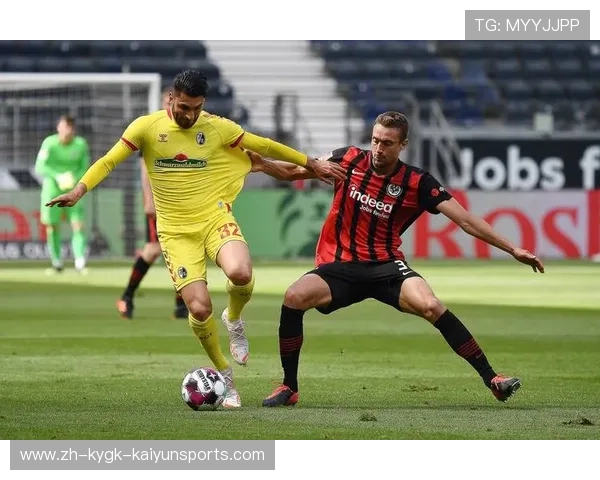 德甲联赛官方使用的比赛用球队与相关数据分析 德甲联赛官方使用的比赛用球队与相关数据分析