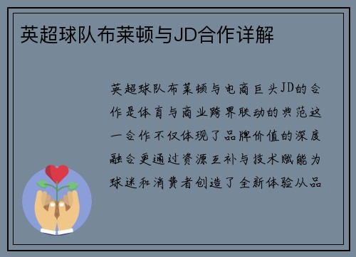 英超球队布莱顿与JD合作详解